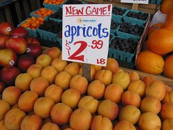 Apricot Open Game, prima demo giocabile