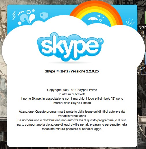 skype2-2