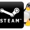 Steam per Linux: porte aperte a nuovi beta tester