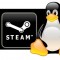 Quanto è diffuso Steam? Ancora troppo poco!