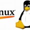 Prestazioni di rete deludenti nel kernel Linux 3.7
