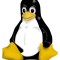 I professionisti Linux non sentono la crisi!