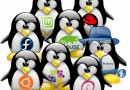 L’estremismo non fa bene a Linux