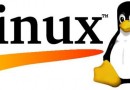 Linux un fallimento? Ma quando mai!