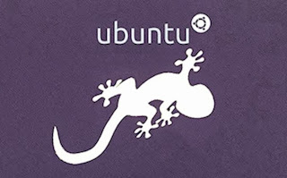 ubuntu-13-10