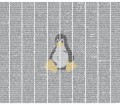 Linux-Kernel