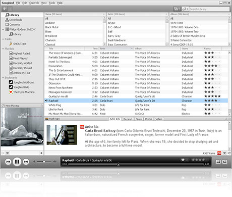 songbird-1.1-screenshot