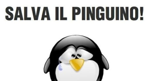 salviamo-pinguino