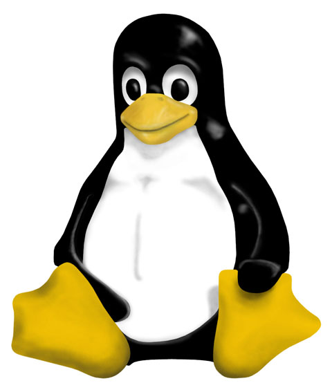 linux-server