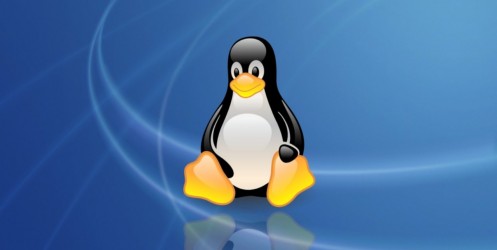 linux-aziende