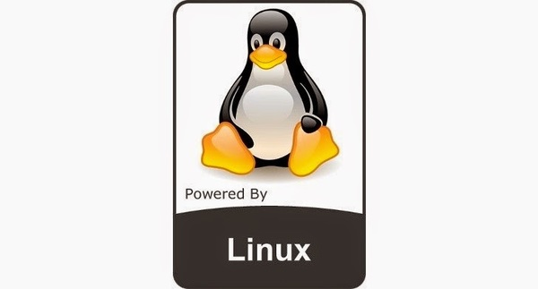 Linux-Kernel