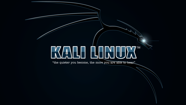 kali-usb