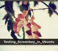 screenkey