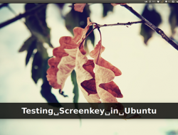 screenkey