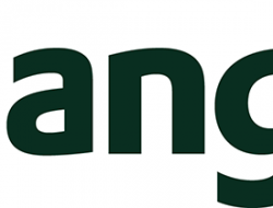 django-logo-positive